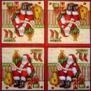 040 Indoor (40) - Handkerchief